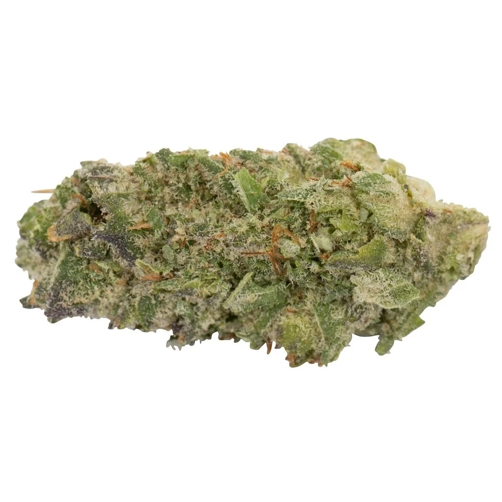 New Arrivals Wagners The Silverback #4 3 New Arrivals Wagners The Silverback #4