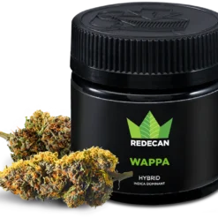 Redecan Wappa