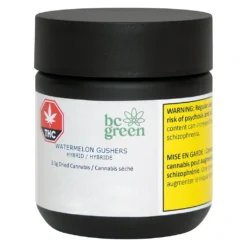 BC Green Watermelon Gushers New Arrivals