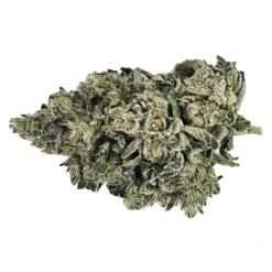 BC Green Watermelon Gushers New Arrivals