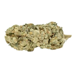 New Arrivals Weed Me Blue Iguana