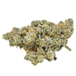 New Arrivals Weed Me Do-Si-Dos