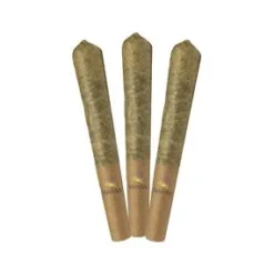 Weed Me Tutti Fruiti 3 Pack Pre Roll (.5g) Pre-Rolls