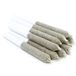 Wildlife White Blaze Pre-Rolls
