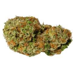Pure Sunfarms White Rhino