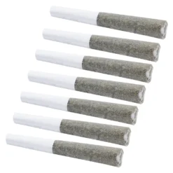 Indiva White Russian PR 7 X 0.5 G