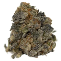 Wild Florist Magic Mint