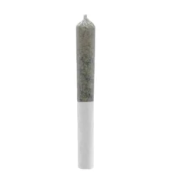 Wildlife Green Cush 10 Pack Pre Roll (.3g)