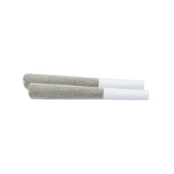 Wink No. 1 2 Pack Pre Roll (.5g)