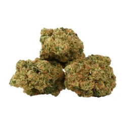 Table Top Zombie Kush New Arrivals