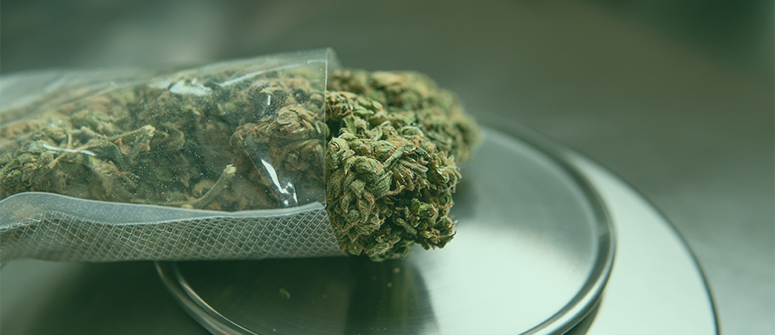 Cannabis Shop 37 Cannabis Shop -Cannabis Shop The importance of calculating edible doses